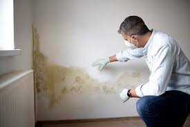 Why You Should Choose Our Mold Remediation Services in Placeholder8